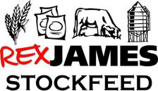 Major sponsor logo